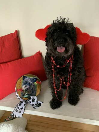 Be my Valentine?