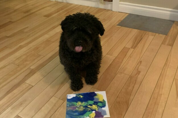 Painting Pawject for Your Pooch!