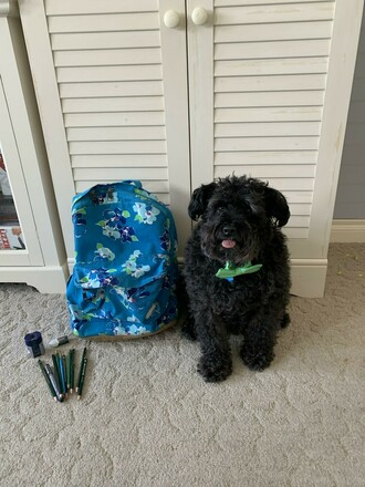 Tip: School Supplies