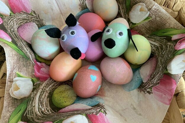 Eggciting Furfriends!