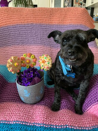 Pass the flowers! Yum!