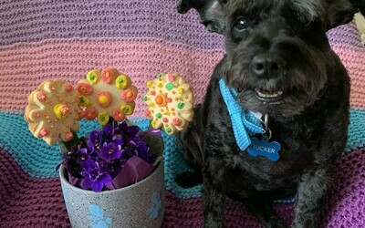 Cookie flowers for mom!