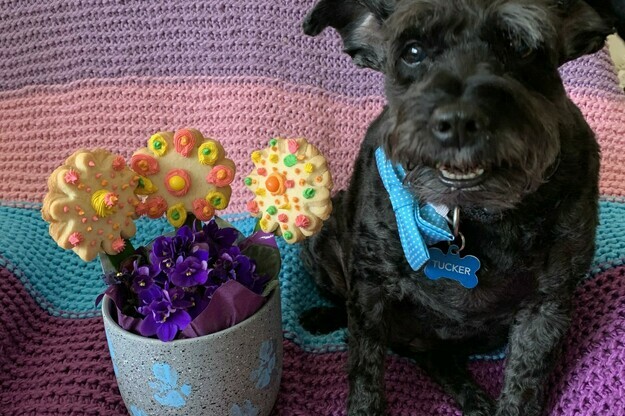 Cookie flowers for mom!