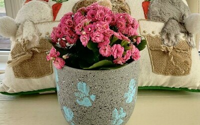 The pawfect gift for Mom!