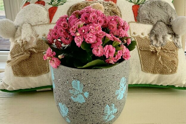 The pawfect gift for Mom!