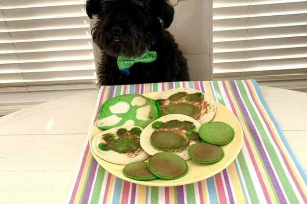 St.Patrick's Day Paw Pancakes!
