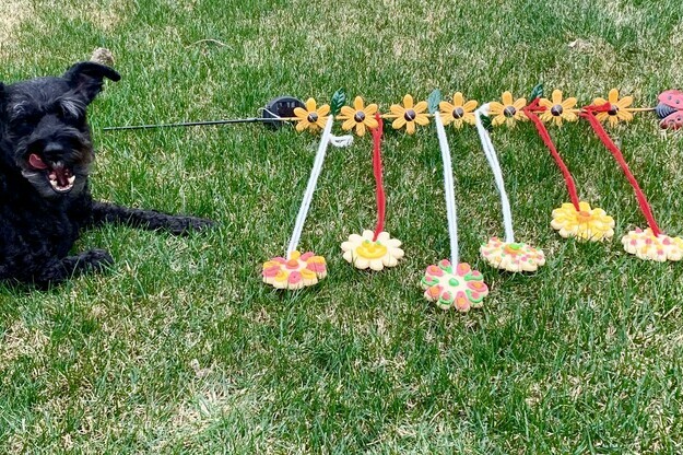 Flower Cookie Necklaces!