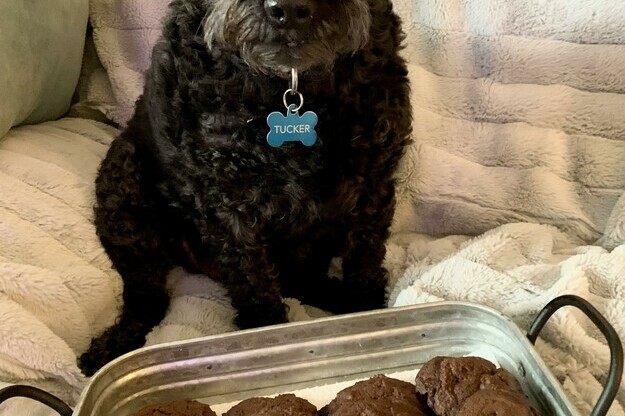 Father's Day Chocolate Bacon Cookies!