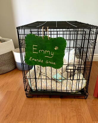 Crate sign for puppy!