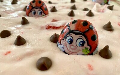 The yummiest bug you'll ever eat!