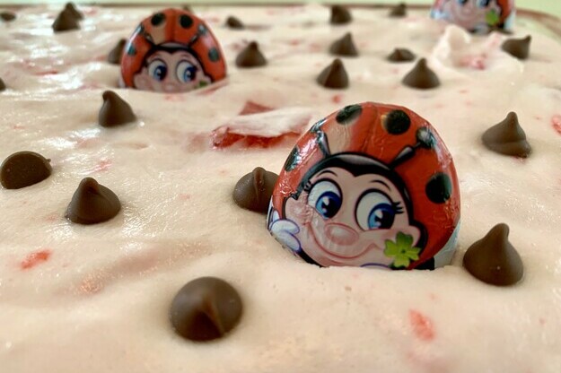 The yummiest bug you'll ever eat!
