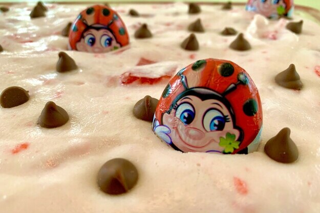 Strawberry Ladybug Squares