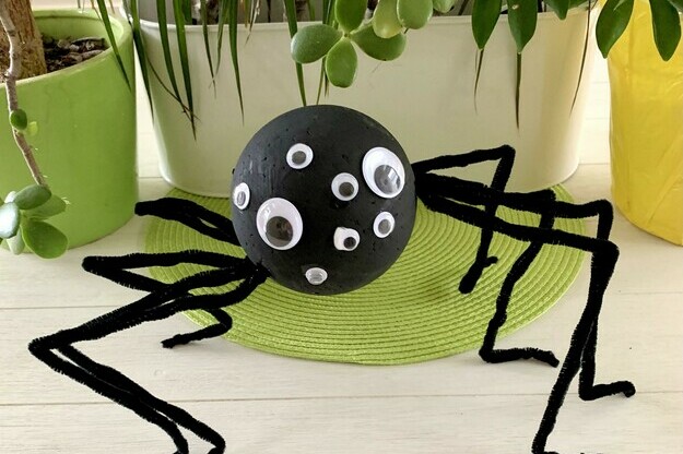 Creepy Crawly Spider!