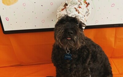 Chef Tucker