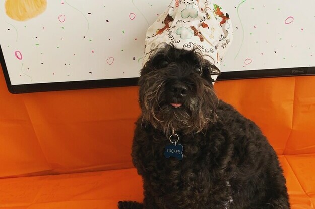 Chef Tucker