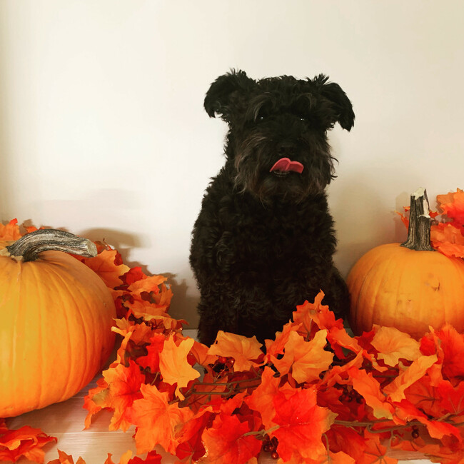 Happy Thanksgiving. Count your blessings!